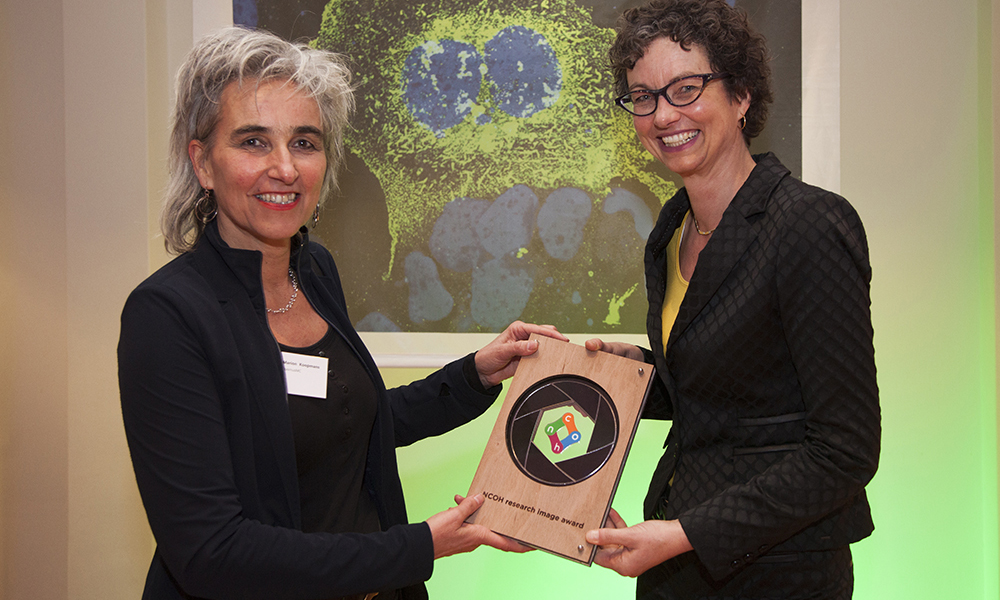 Laserbeest awards
